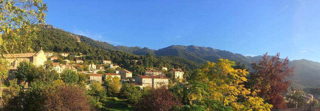 Gite Du Chalet Pietri Olivese 외부 사진