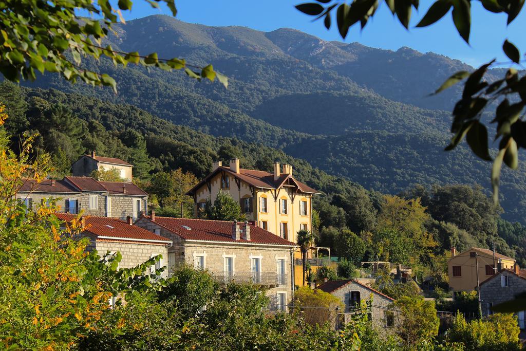Gite Du Chalet Pietri Olivese 외부 사진