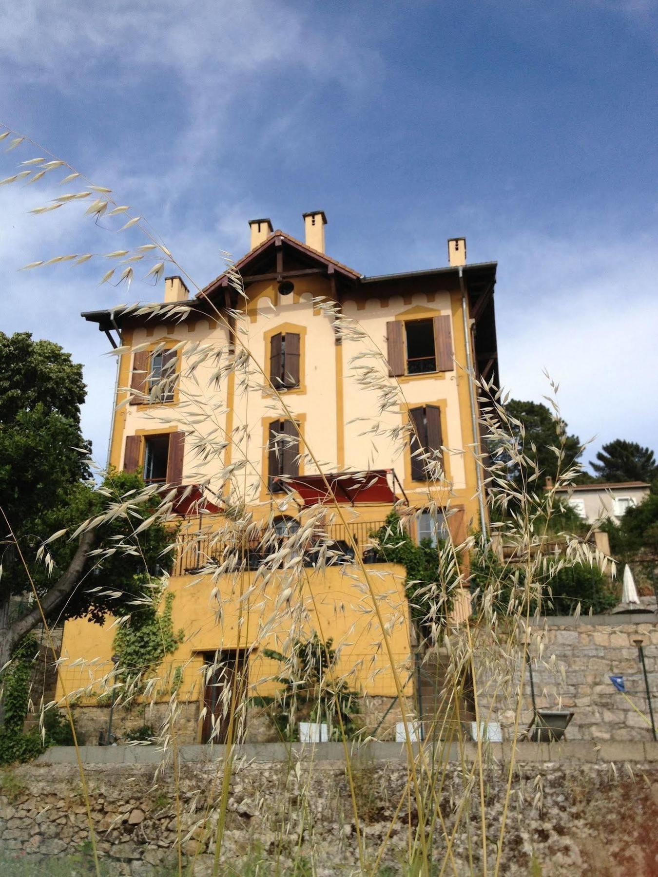 Gite Du Chalet Pietri Olivese 외부 사진